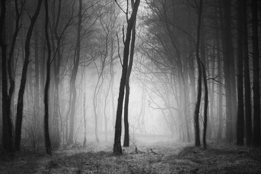 Photograph by Roger Hamblok