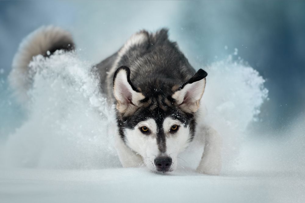 Photograph by Светлана Писарева