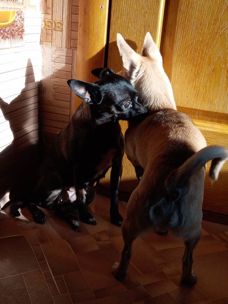 Photograph by Татьяна Пальчикова