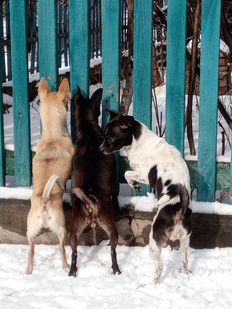 Photograph by Татьяна Пальчикова