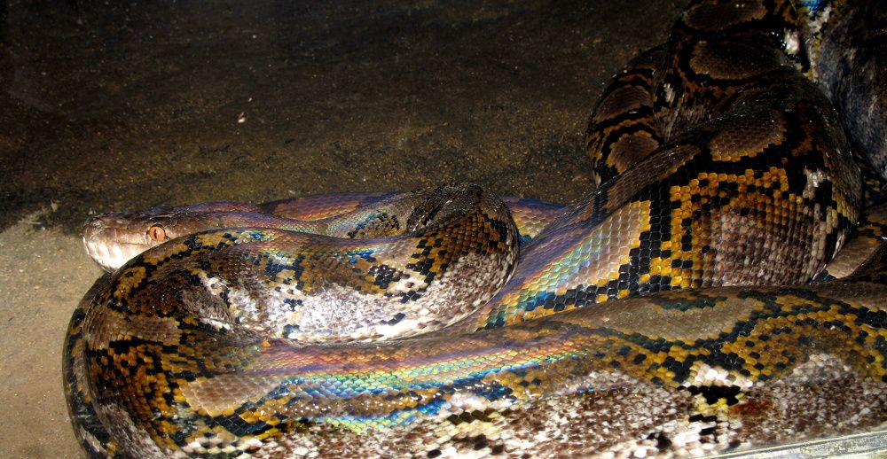 Photograph by Жанна Нечаева