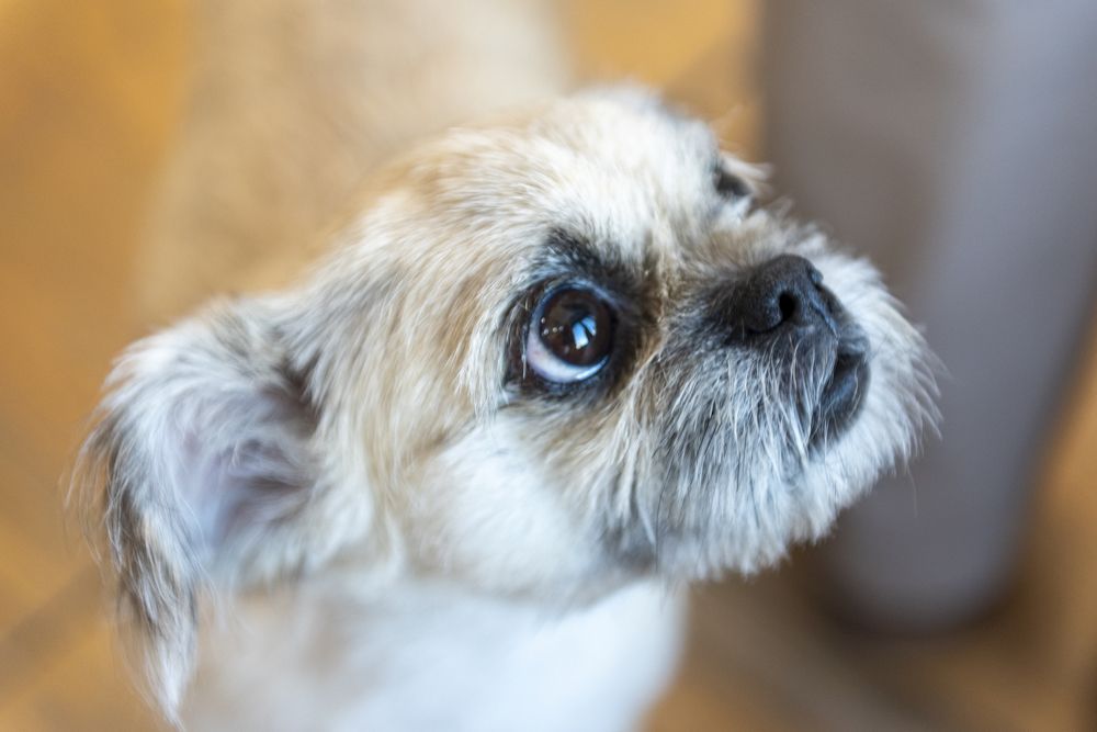 Photograph by Алексей Новиков