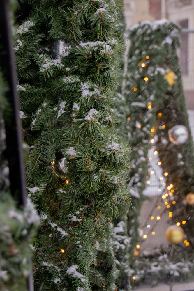 Фотография автора Georgii Eletskikh