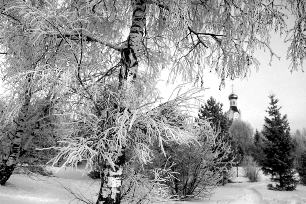 Photograph by Ольга Слотвинская