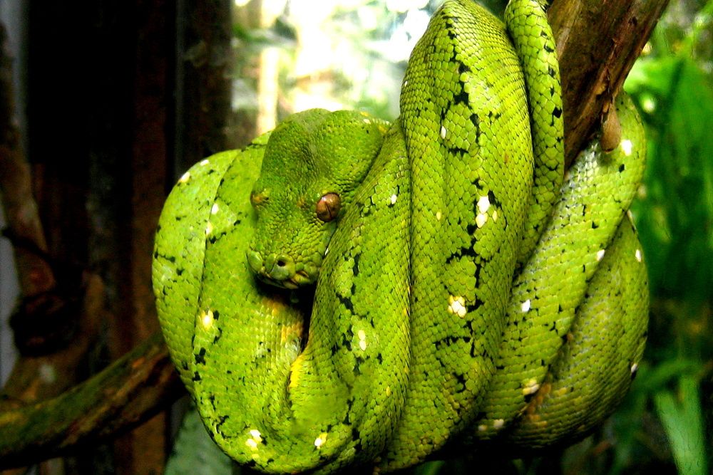 Photograph by Жанна Нечаева