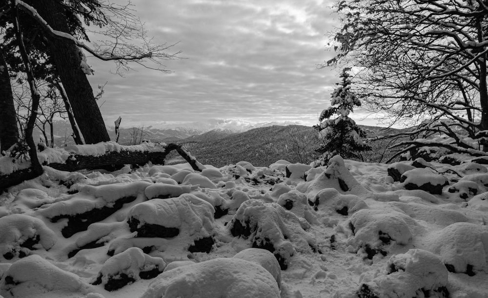 Photograph by Даниил Гордеев