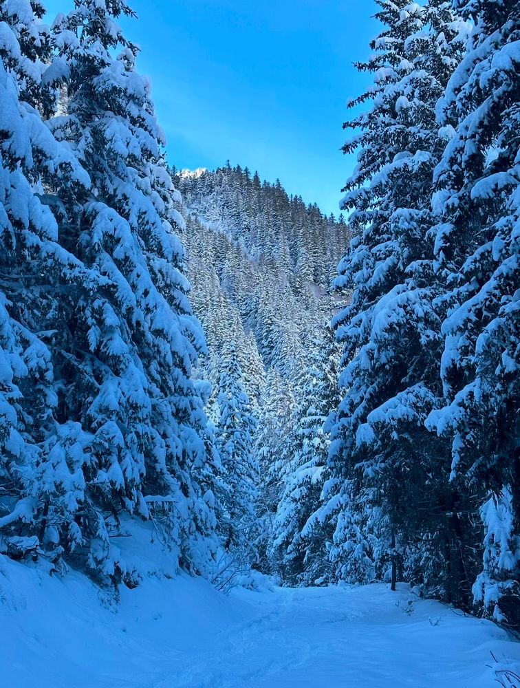 Photograph by Юлия Немченко