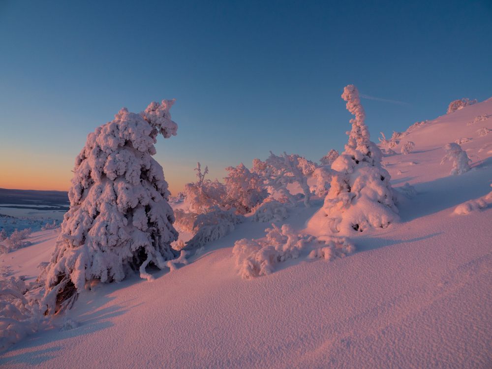Встреча на горе