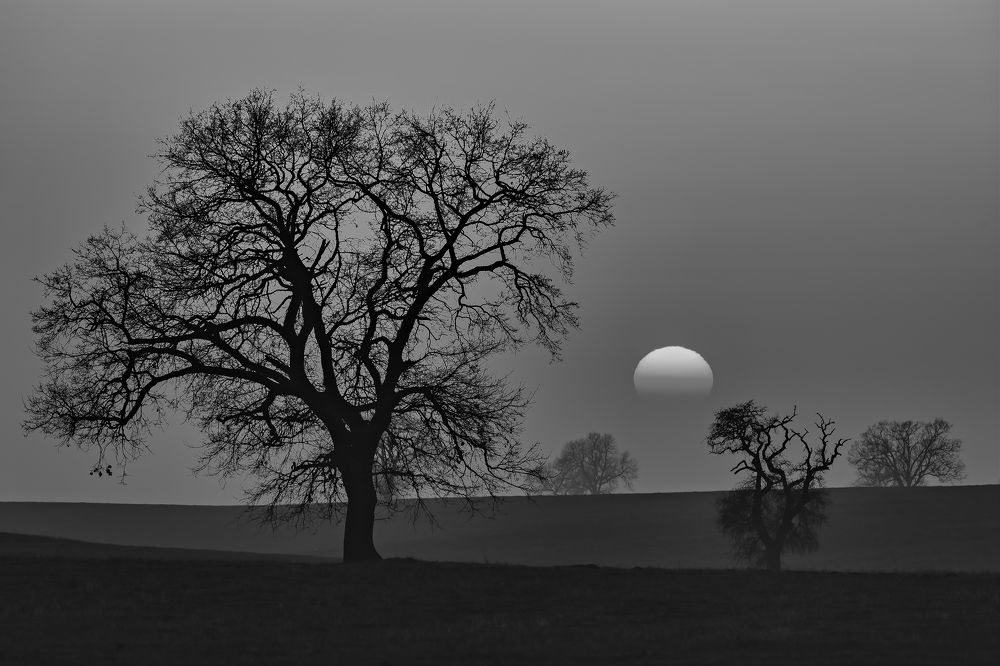 Симфония заката