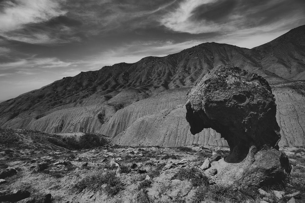 Photograph by Aleksandr Karyagin