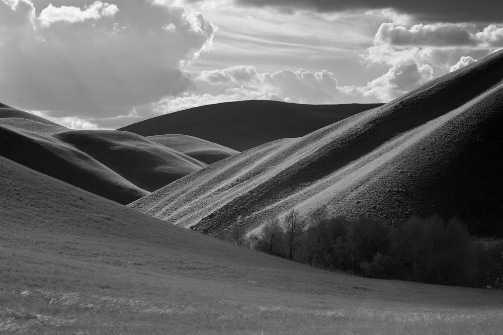 Фотография автора Грачёв Олег
