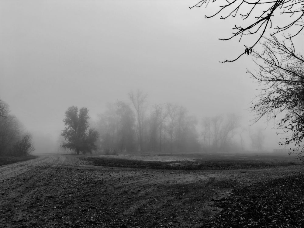 Фотография автора OXANA MARSOVA