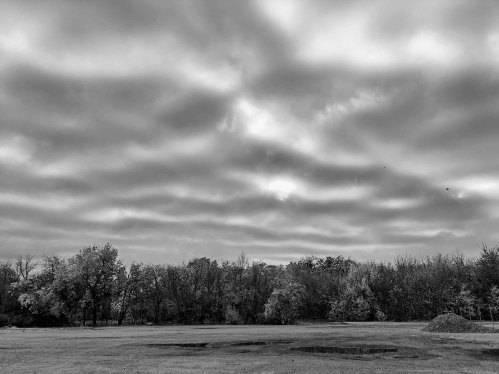 Фотография автора OXANA MARSOVA