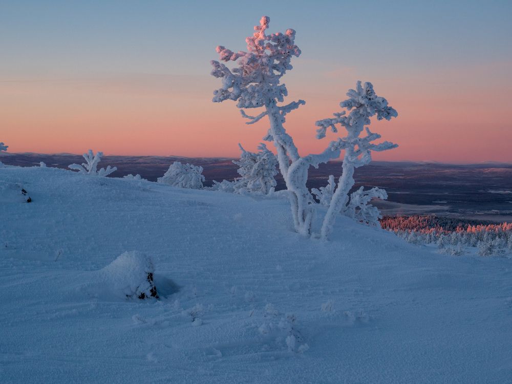 Жаркие танцы