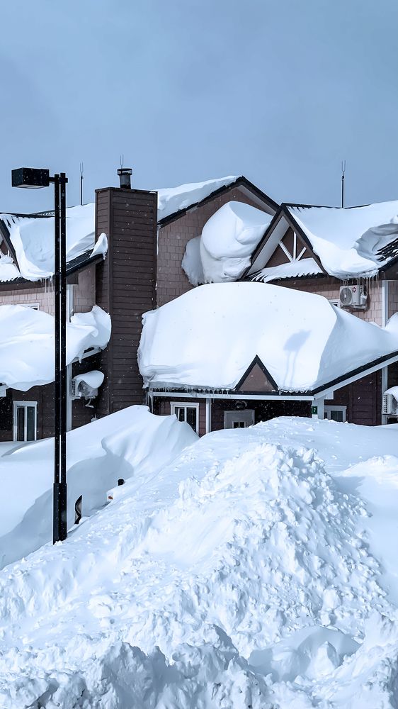 Фотография автора Елена