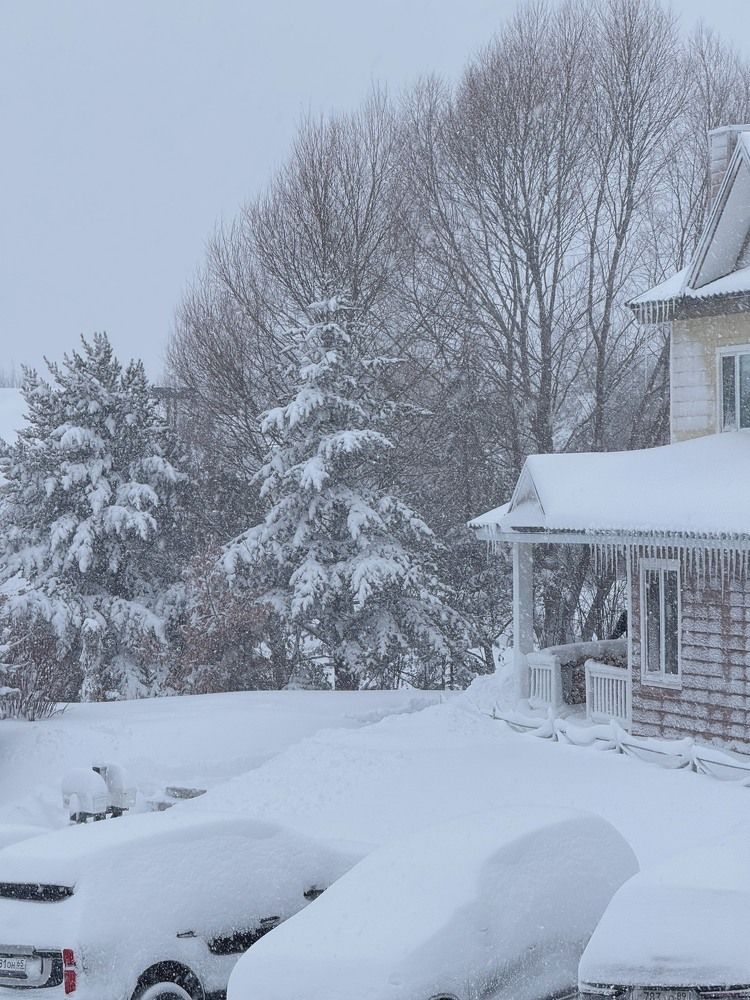 Фотография автора Елена