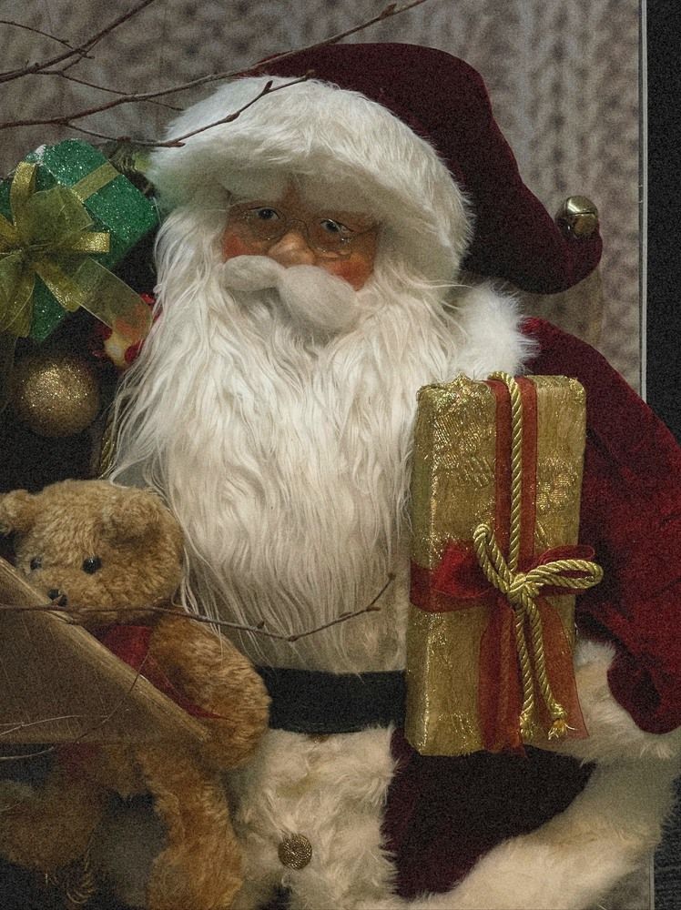 Фотография автора Елена