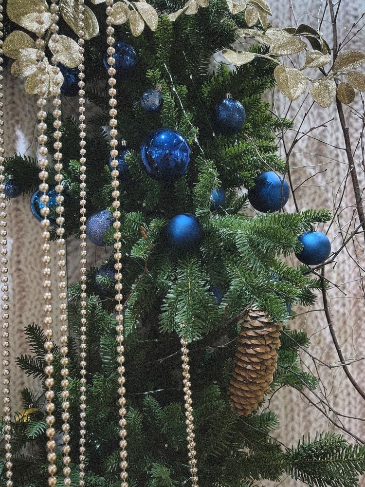 Фотография автора Елена