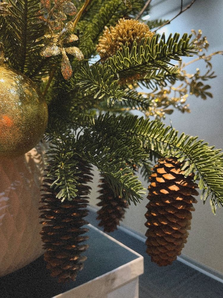 Фотография автора Елена