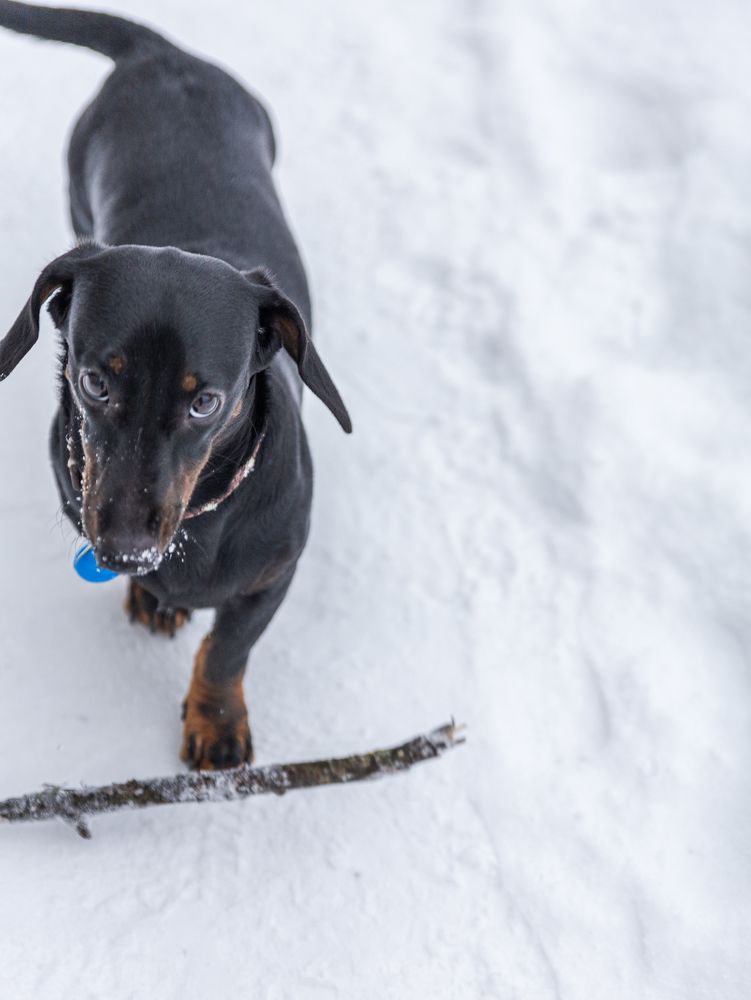 Photograph by Татьяна Кучерова