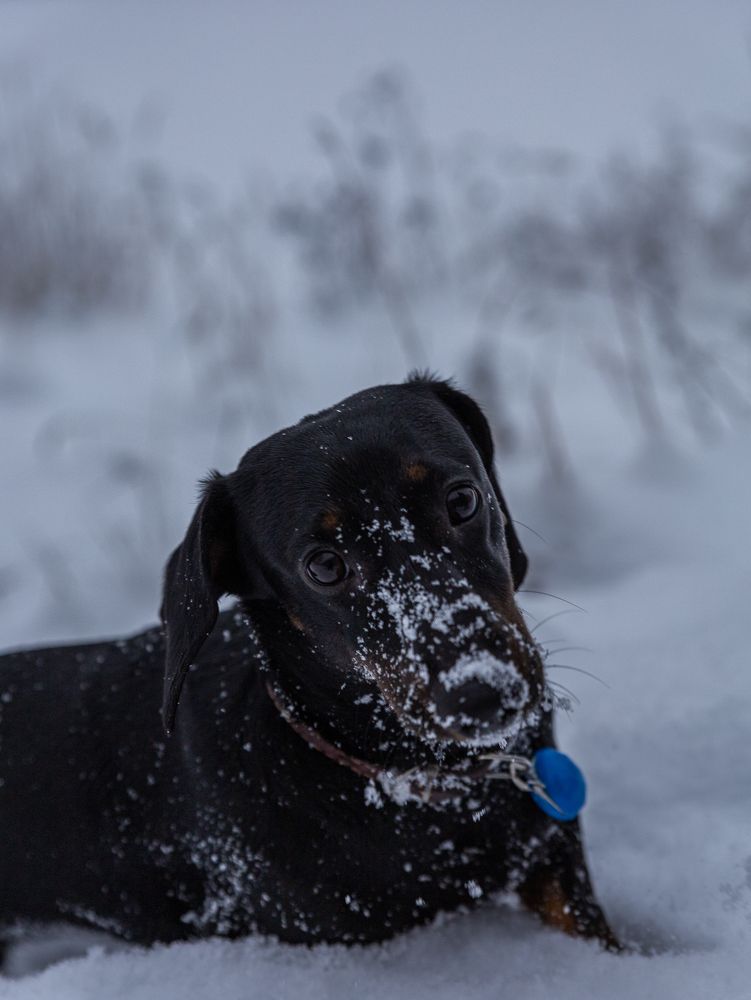 Photograph by Татьяна Кучерова