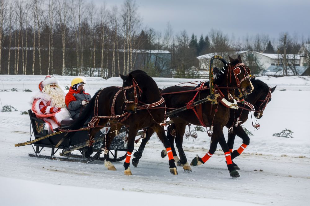 Photograph by Александр Силинский