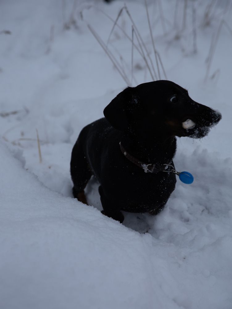 Photograph by Татьяна Кучерова