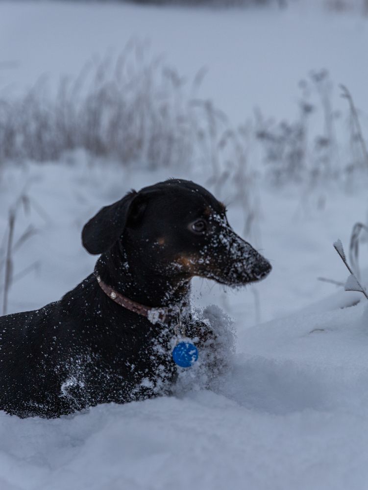 Photograph by Татьяна Кучерова