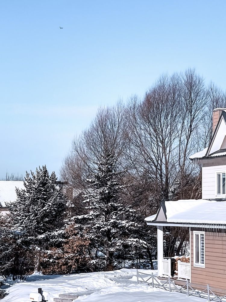 Фотография автора Елена