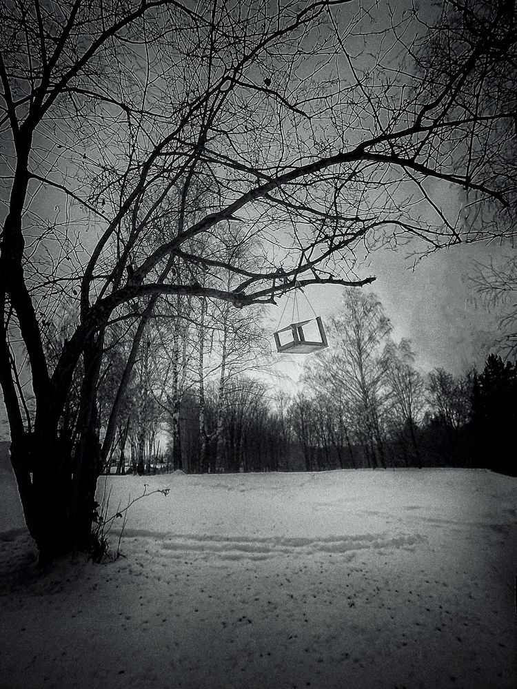 Photograph by Алёна Кибичеева