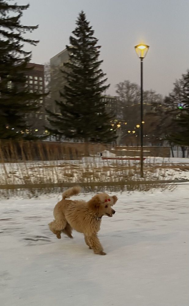 Photograph by Алиса Лукина