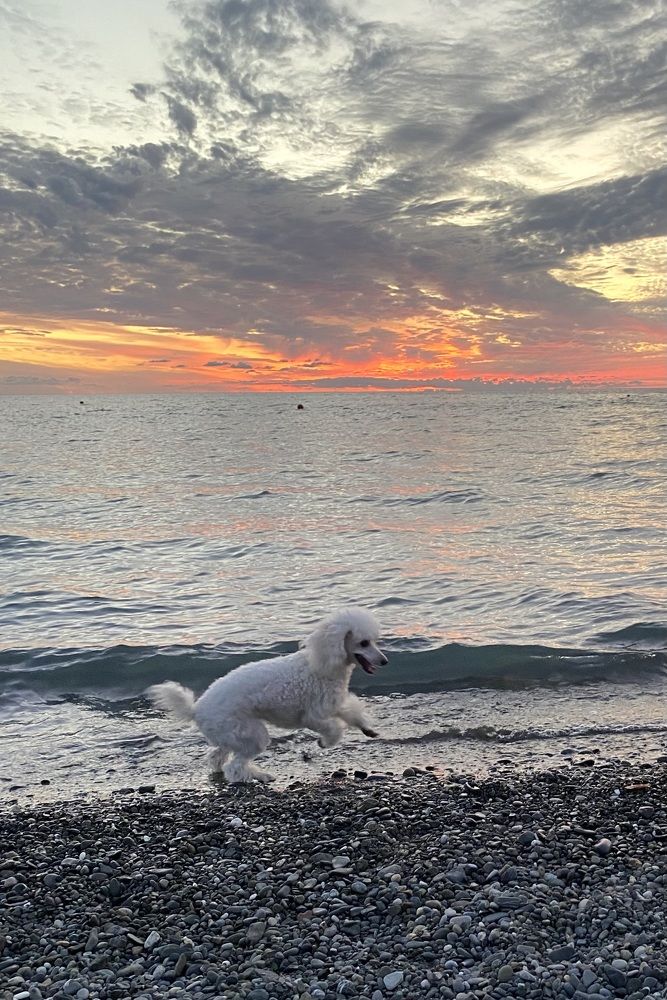 Photograph by Алиса Лукина