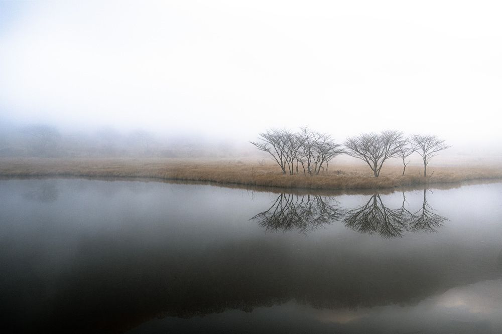 Photograph by Daiyu Moko