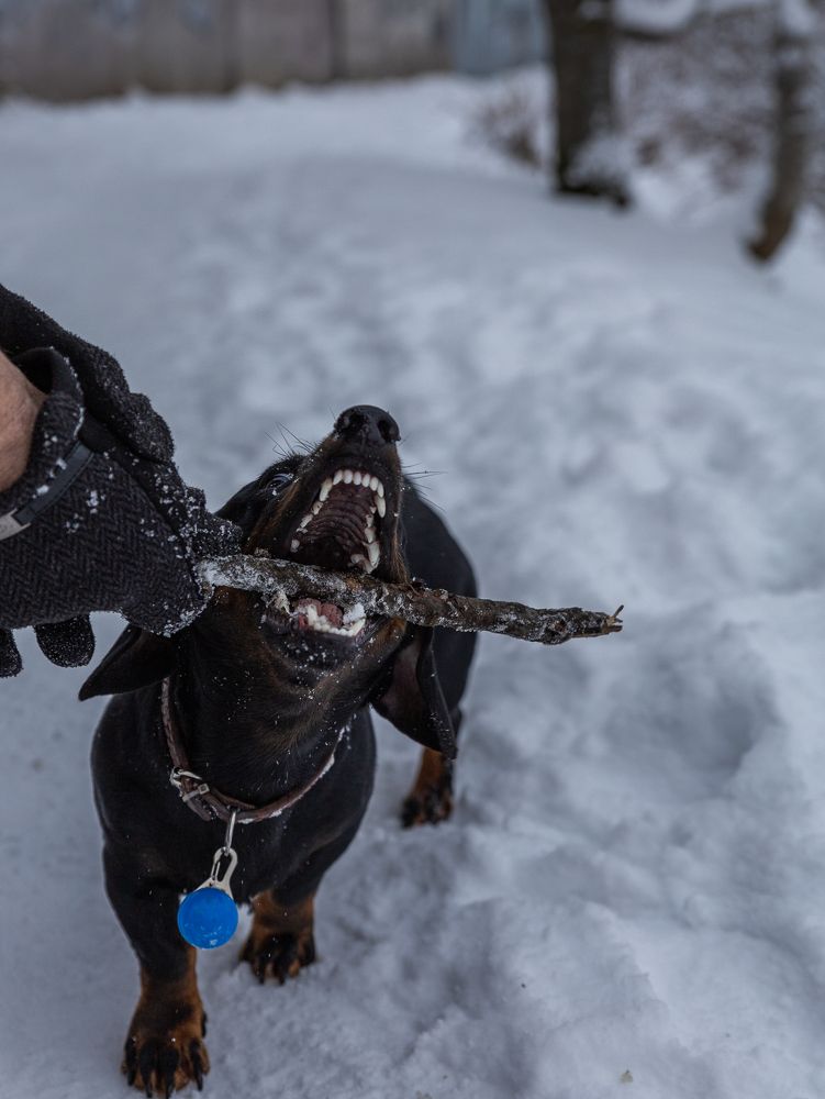 Photograph by Татьяна Кучерова