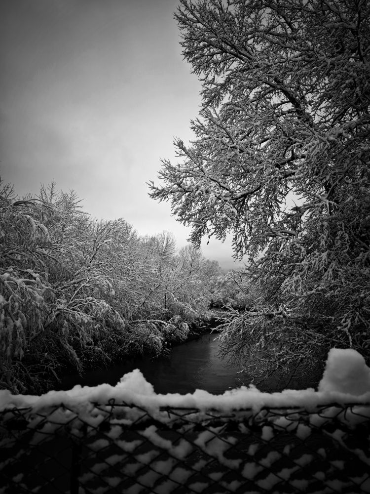 Photograph by Ruban Elena