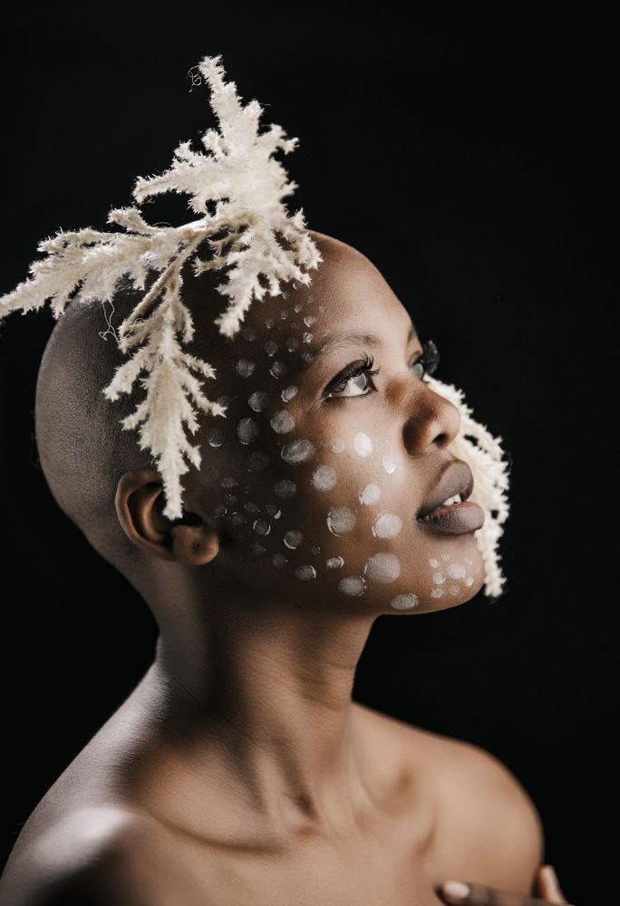 Фотография автора Jalal Ibrahim