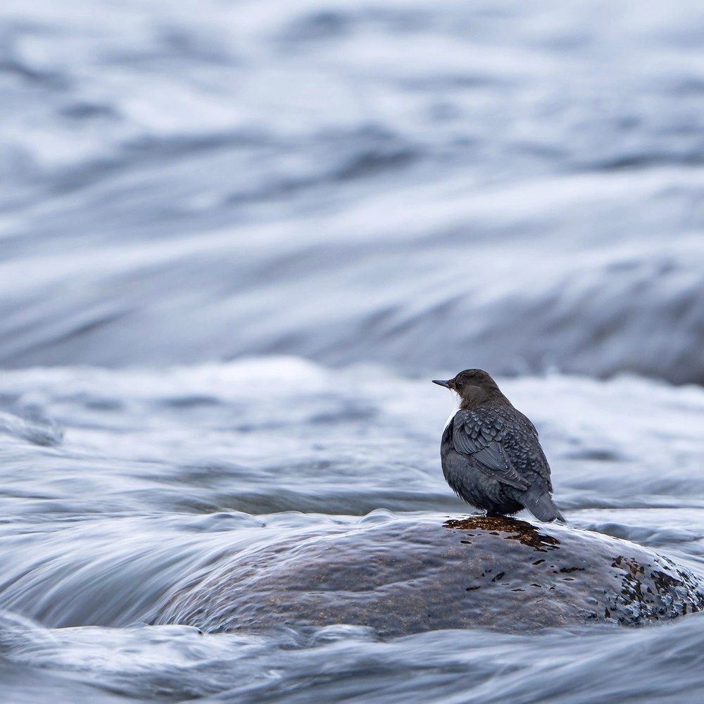 Photograph by Павлов Дмитрий