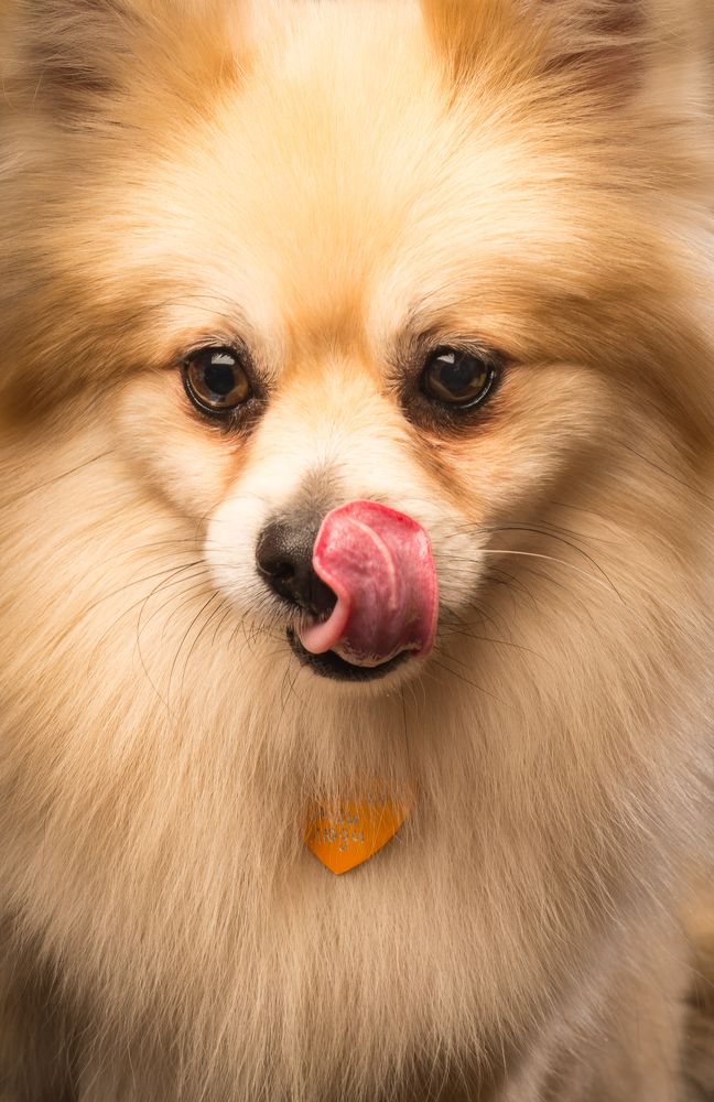 Photograph by Алексей Михайлов