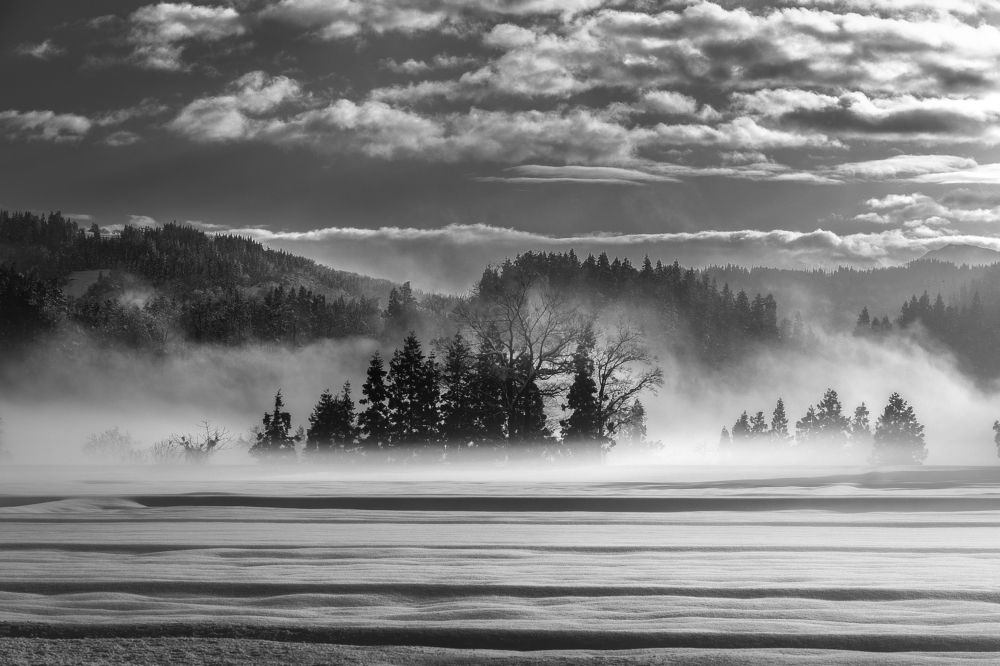 Photograph by 南雲 柊人