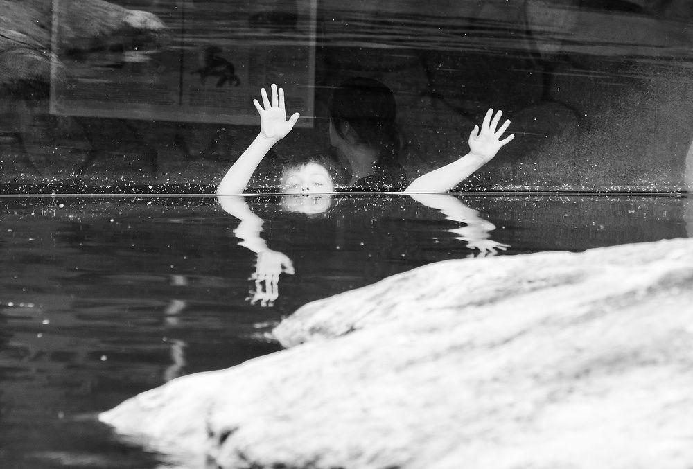 Photograph by Елена Покрепа