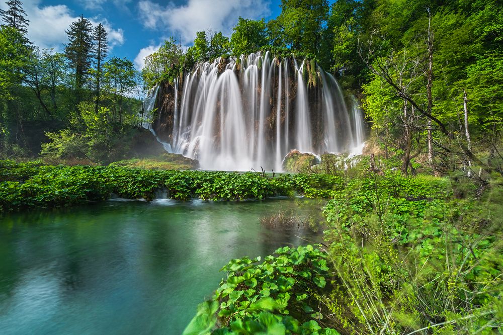 Photograph by Samir Kurtagić