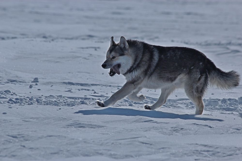 Photograph by Александр Велигура