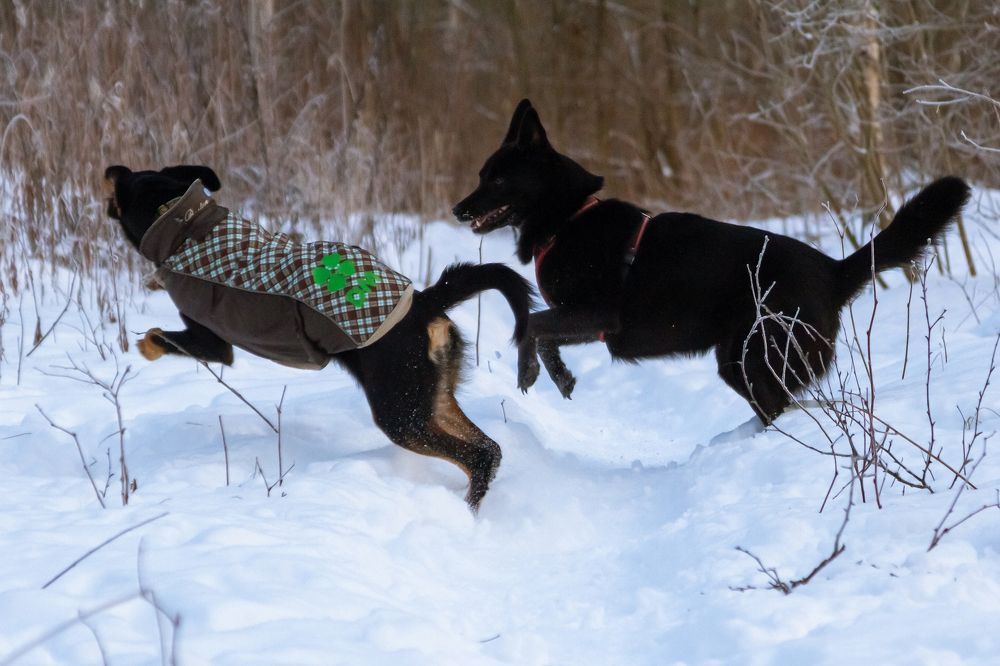 Photograph by Ольга Корчагина