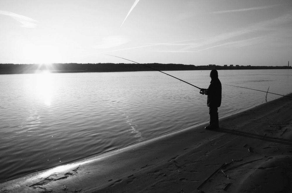 Photograph by Людмила Викулова