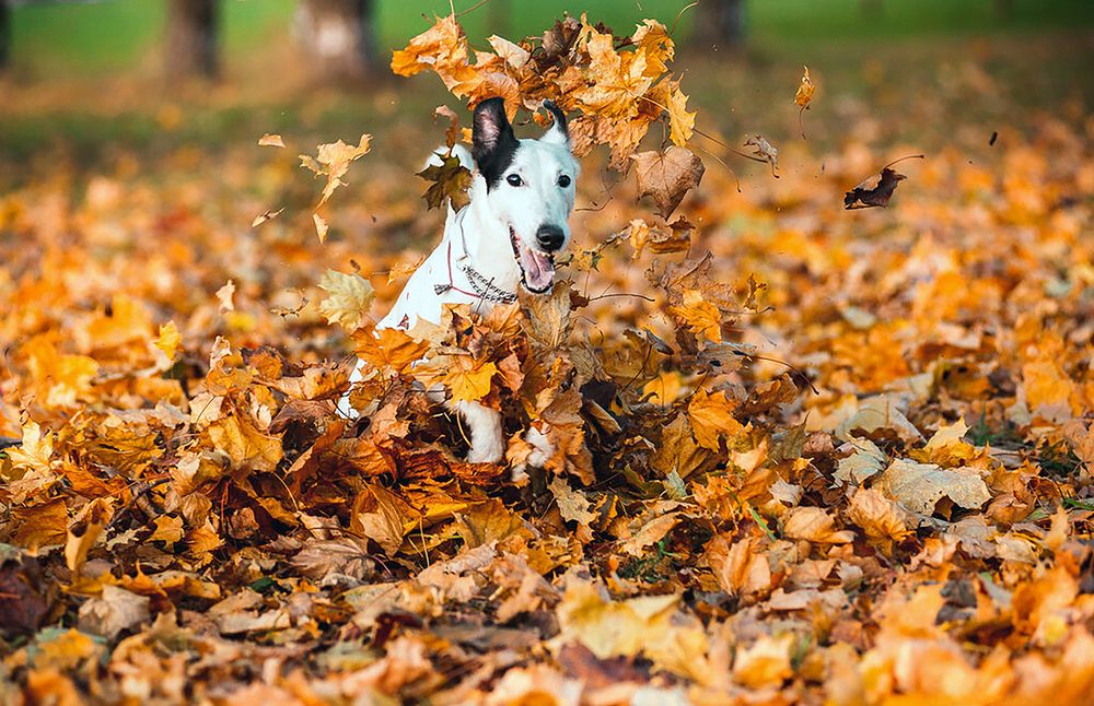 Photograph by Мария Новоселецкая