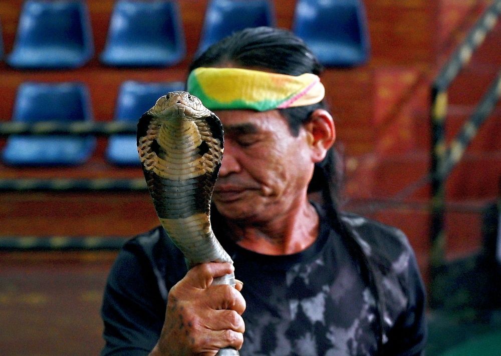 Фотография автора Владимир Куликов