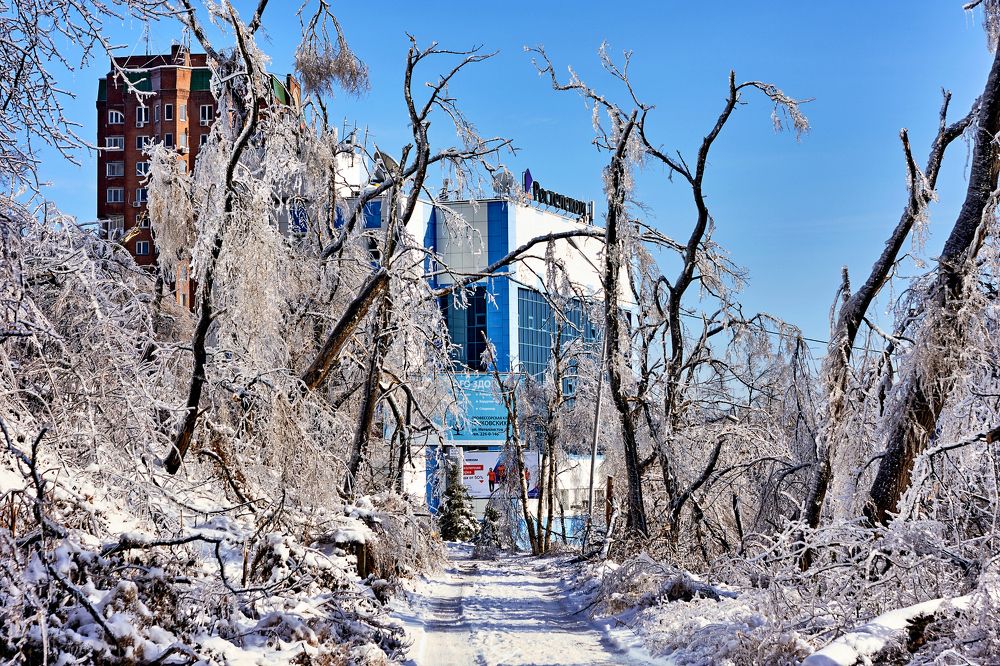 Photograph by Лариса Неман