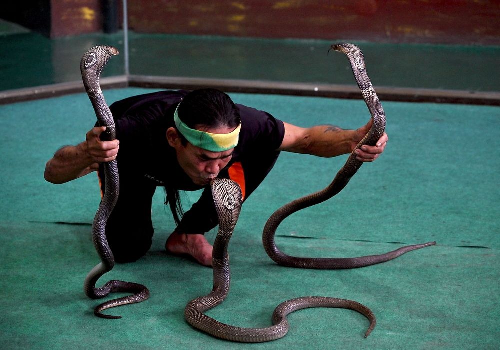 Фотография автора Владимир Куликов