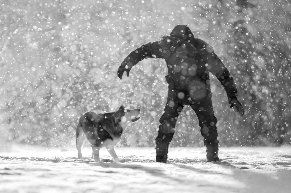 Photograph by Светлана Писарева