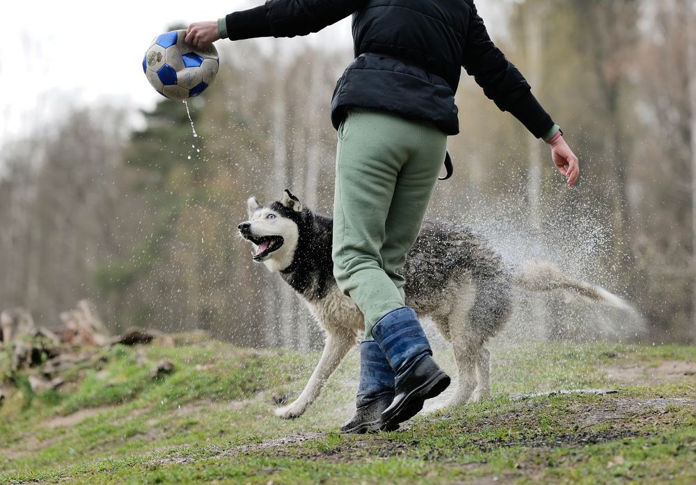 Photograph by Криволуцкий Вячеслав